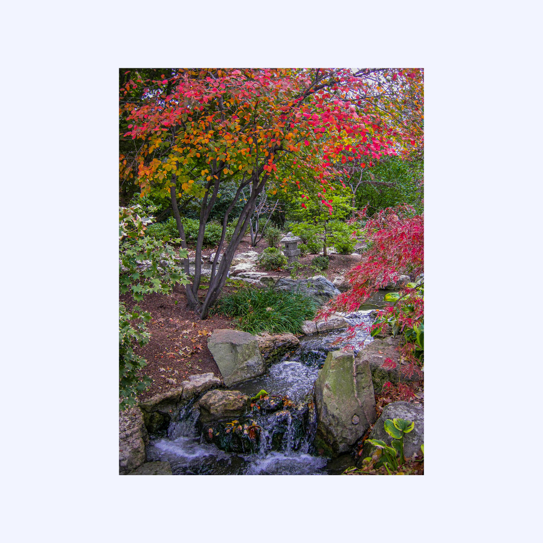 Missouri Botanical Gardens by Shaw Sutton