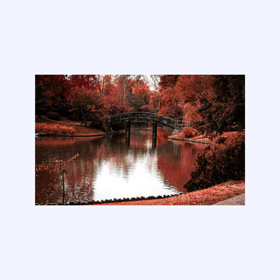 Seasons by Shaw Sutton