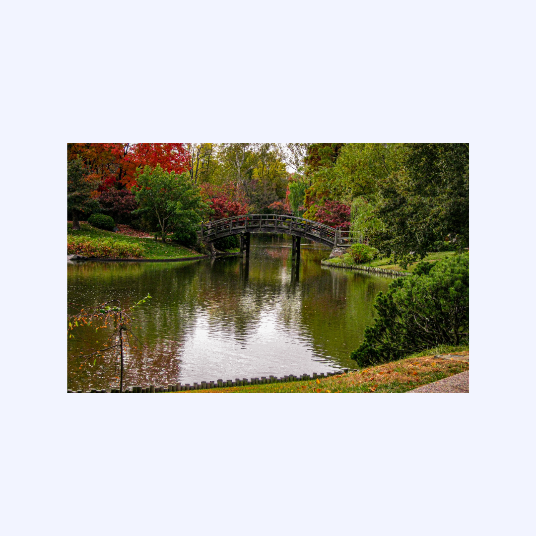 Bridge by Shaw Sutton