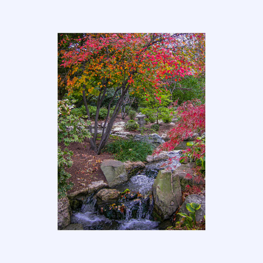 Missouri Botanical Gardens by Shaw Sutton