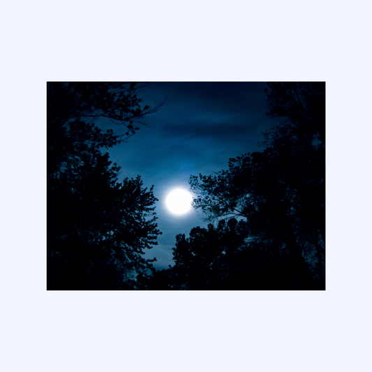 Night Sky by Shaw Sutton