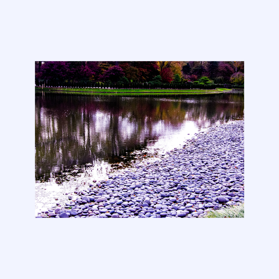 Shoreline by Shaw Sutton