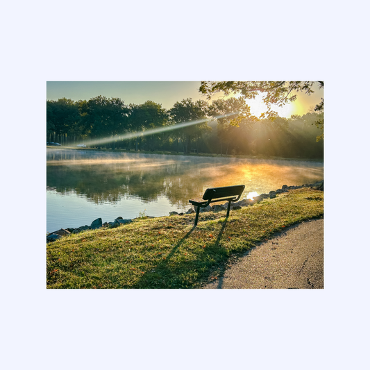 Morning Reflections by Shaw Sutton