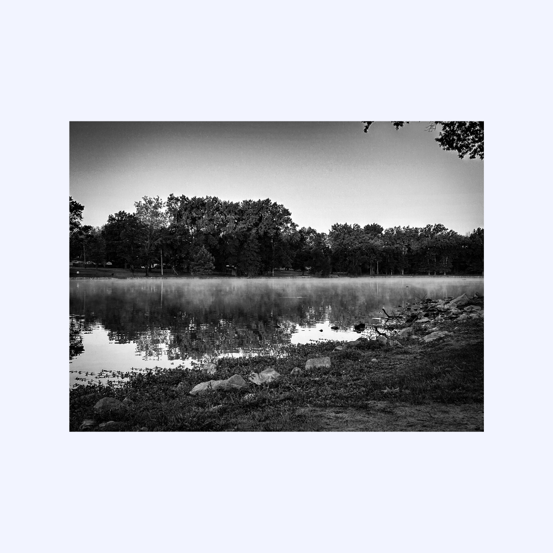 Morning Fog by Shaw Sutton