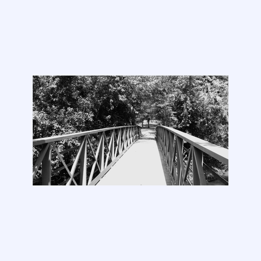 Cross the Bridge by Shaw Sutton