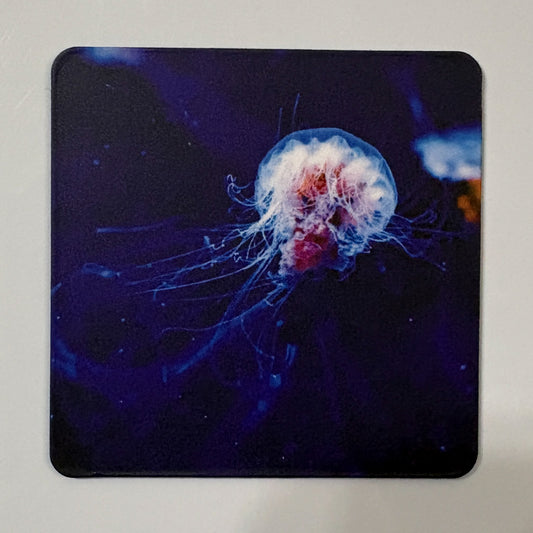 Strange Beauty Magnet