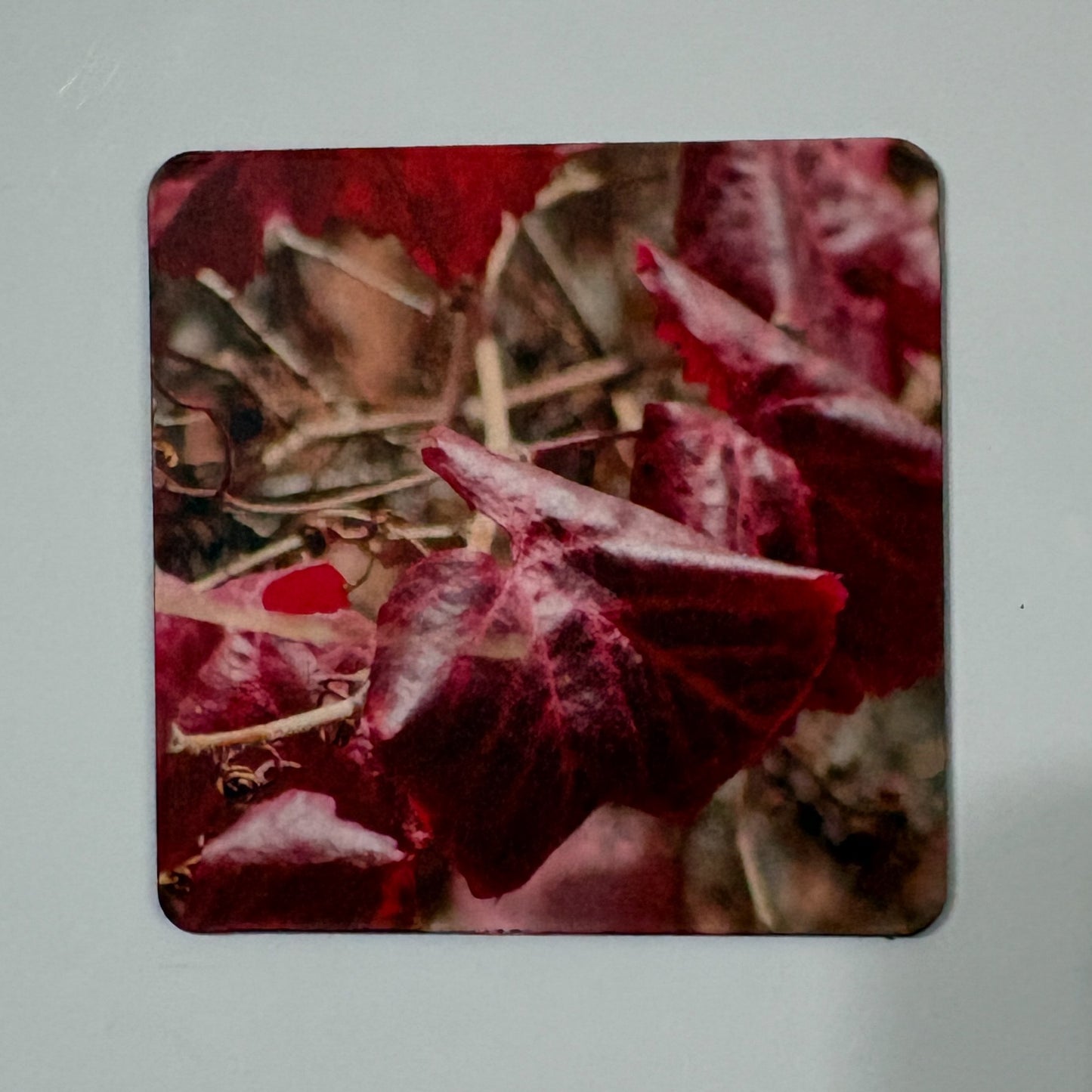 Red Leaves Magnet