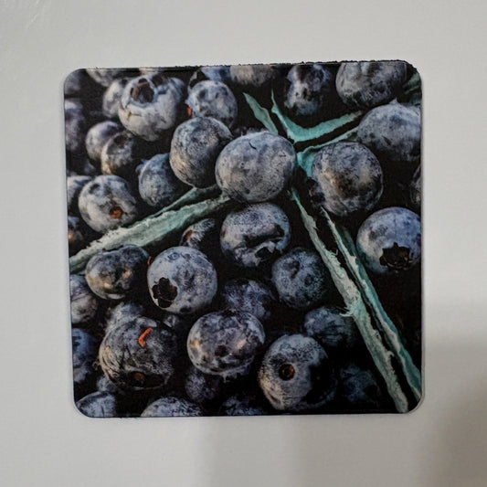 Blueberries Magnet