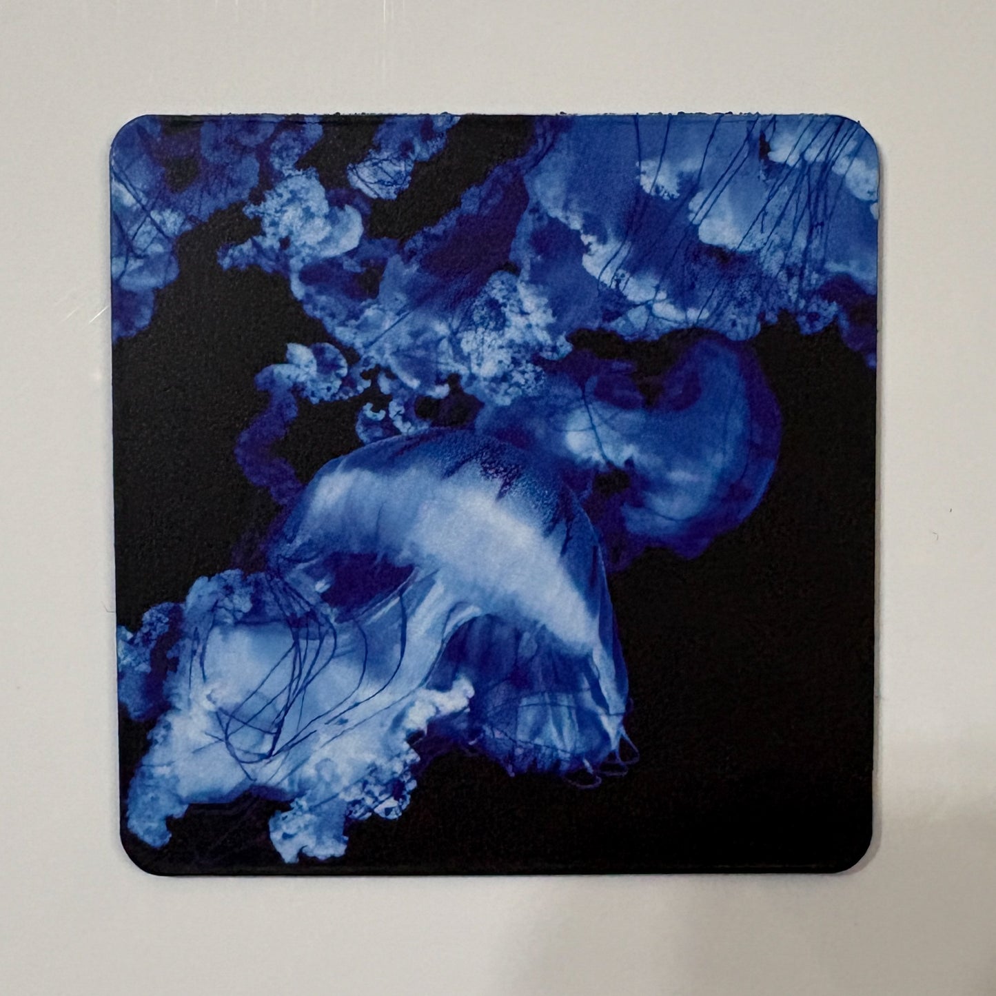 More Jellies Magnet